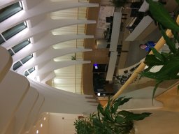 IMG_3905